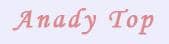 Anady Top