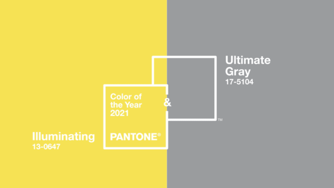2021 fashion color：extreme grey+bright yellow!